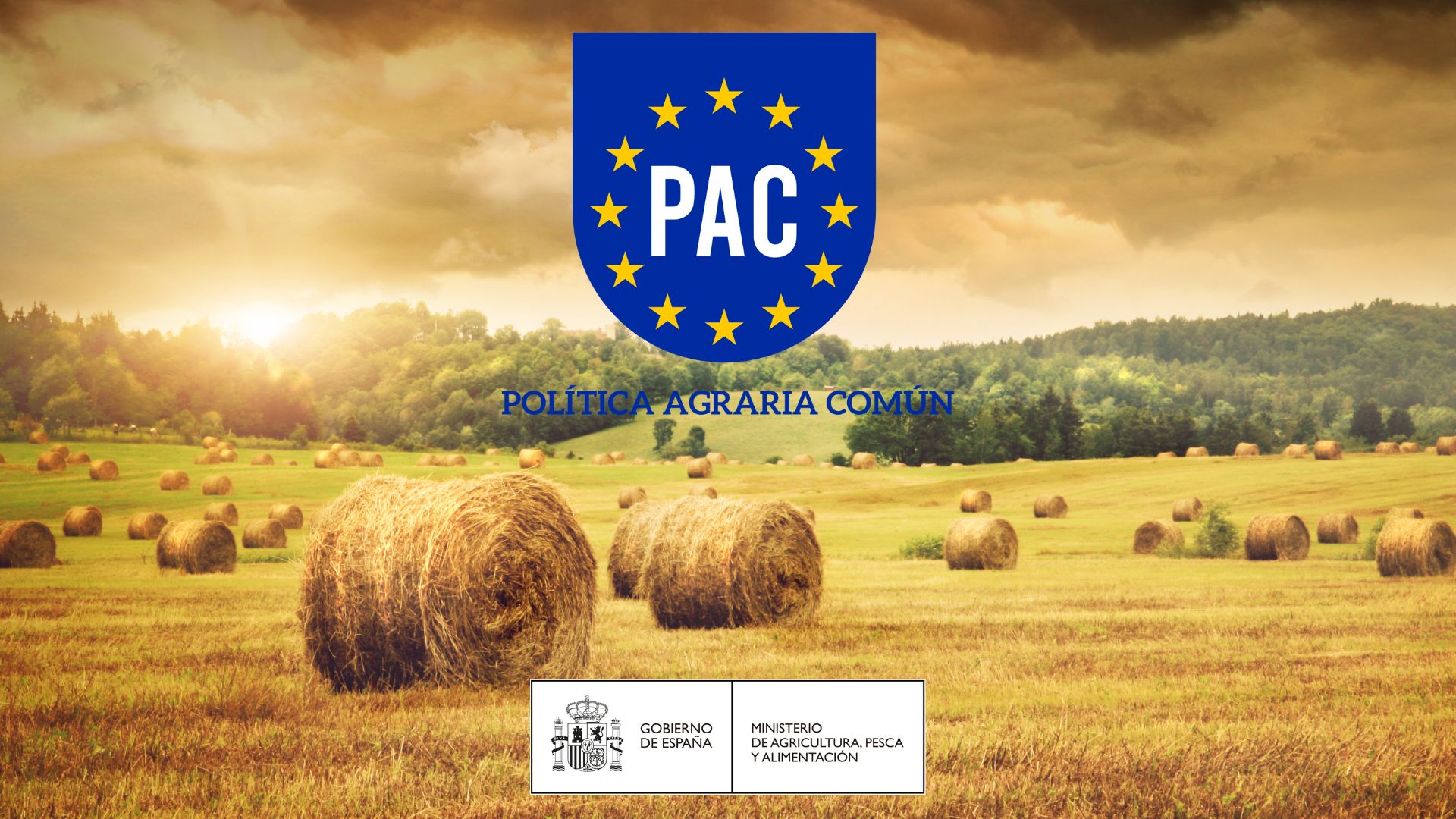PAC 2021-2023